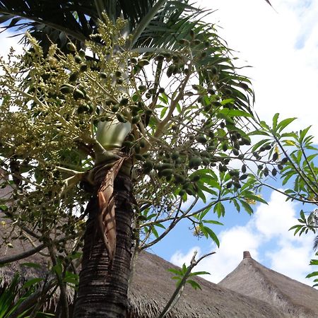 Mushroom Garden Villas Lembongan Exterior foto